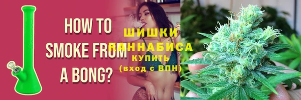 сатива Арсеньев