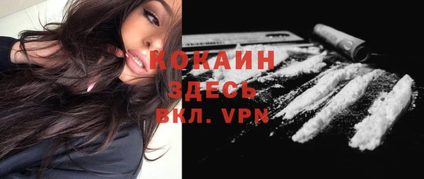 сатива Арсеньев