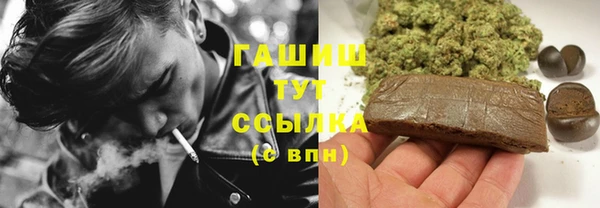 сатива Арсеньев