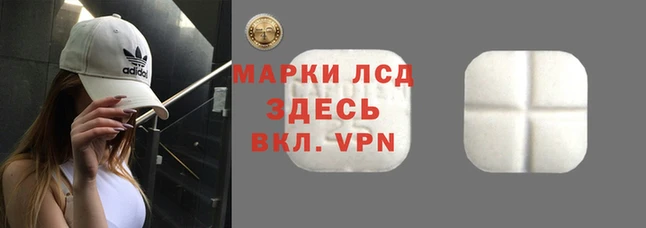 твердый Аркадак