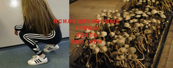стафф Алексеевка