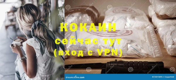 твердый Аркадак