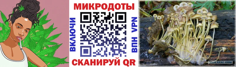 Псилоцибиновые грибы MAGIC MUSHROOMS  где купить   Кашин 